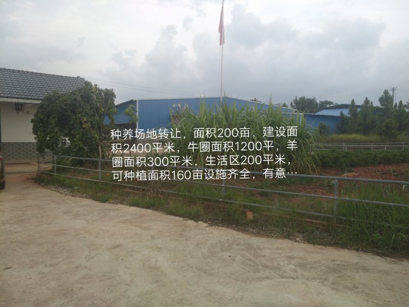 场地转让