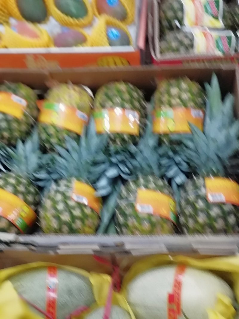 蕨菜，猴腿大约30公分