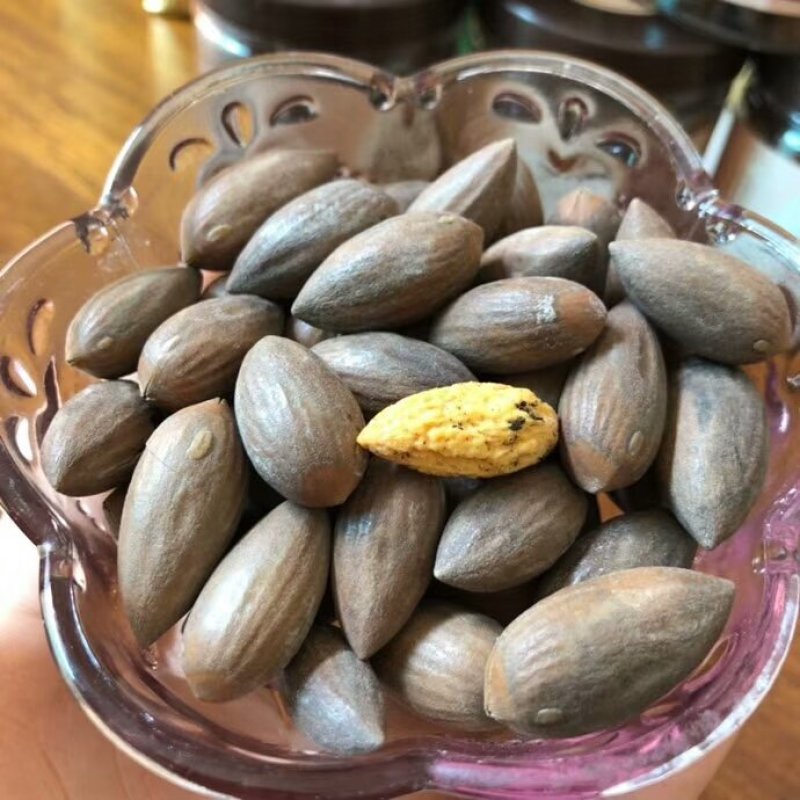 香榧