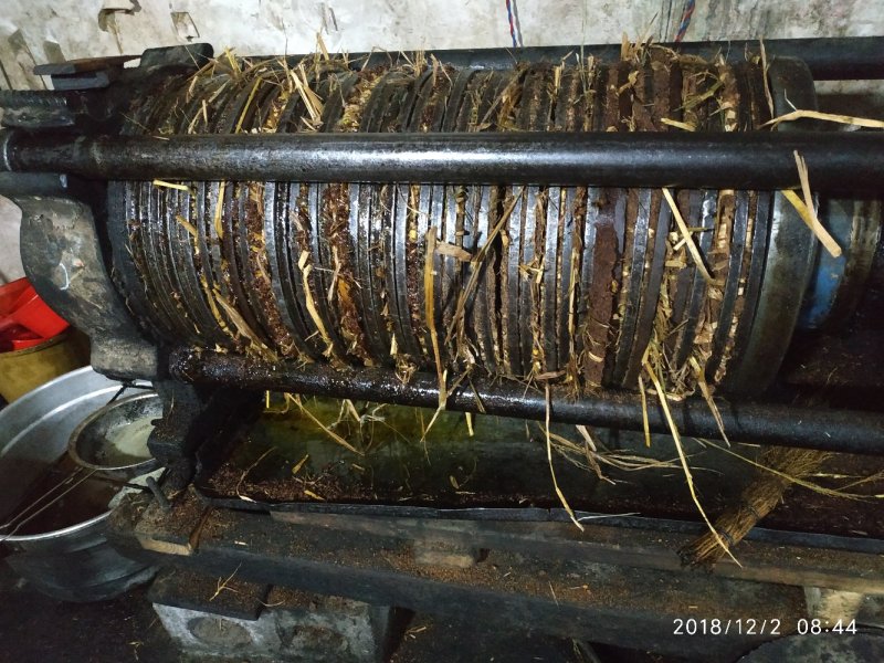 山茶籽子油