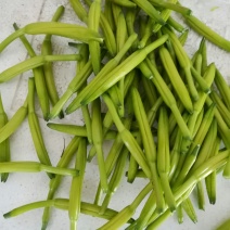 新鲜黄花菜基地直销，价格优惠，质量杠杠滴，价格随行就市