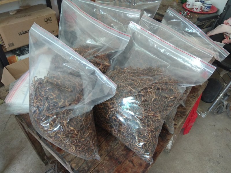 自己种的干豆角，