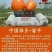 陕西富平特产