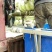 青杂三号大白菜黄心菜大量供应价格美丽基地直发保质保量