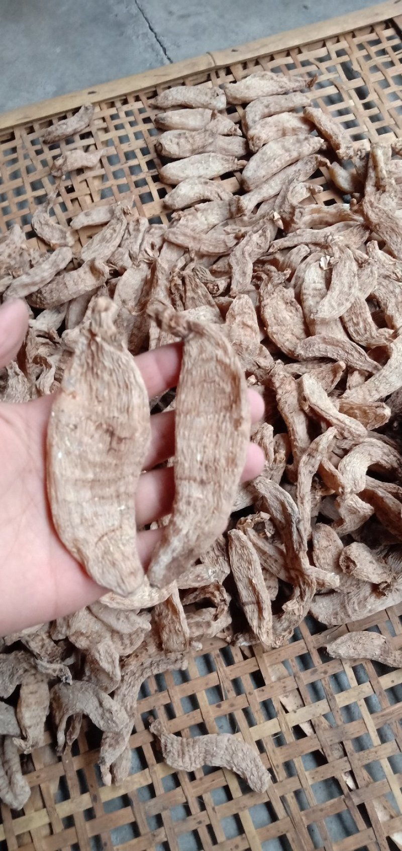 干天麻，自产自销，天然烘干