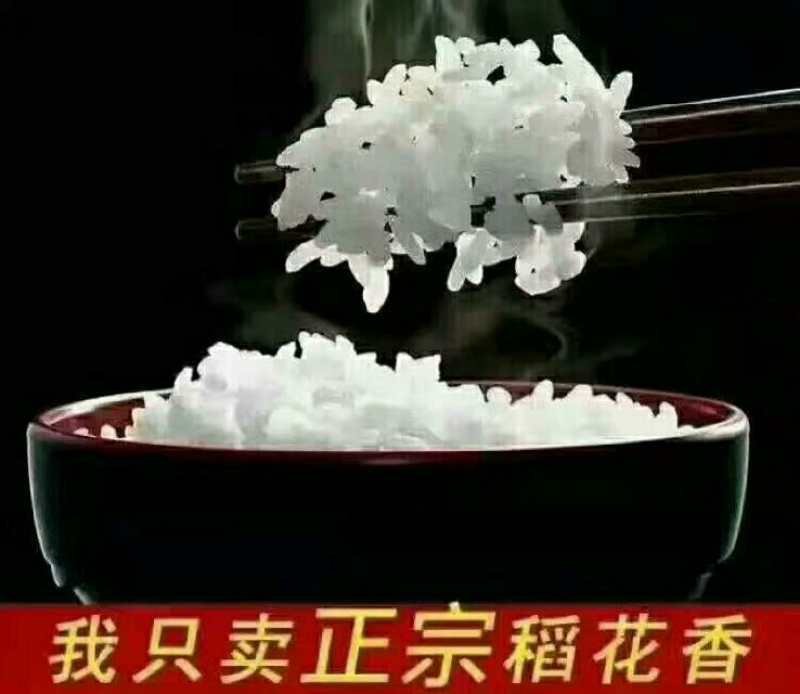 稻花香2号大米白板袋50斤装，诚招电商微商代理，共同发展