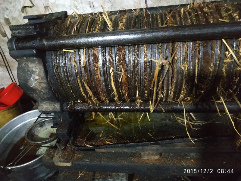 自家山茶籽油