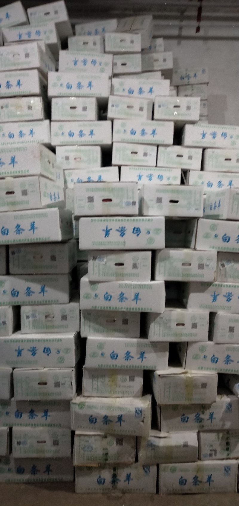 羊白条
