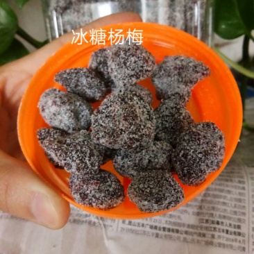 大粒冰糖杨梅干，纯手工***剂低价出销1
