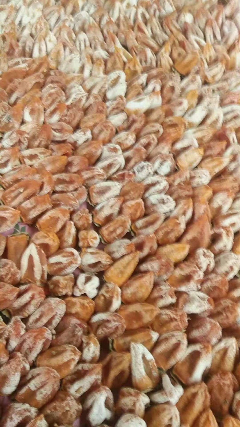 正宗涧头村老味柿饼