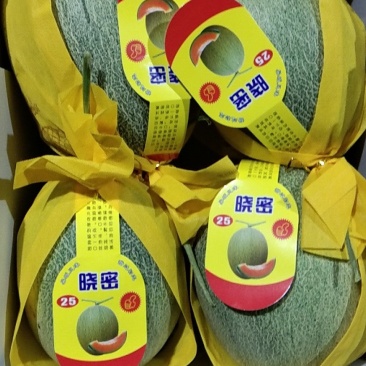 哈密瓜