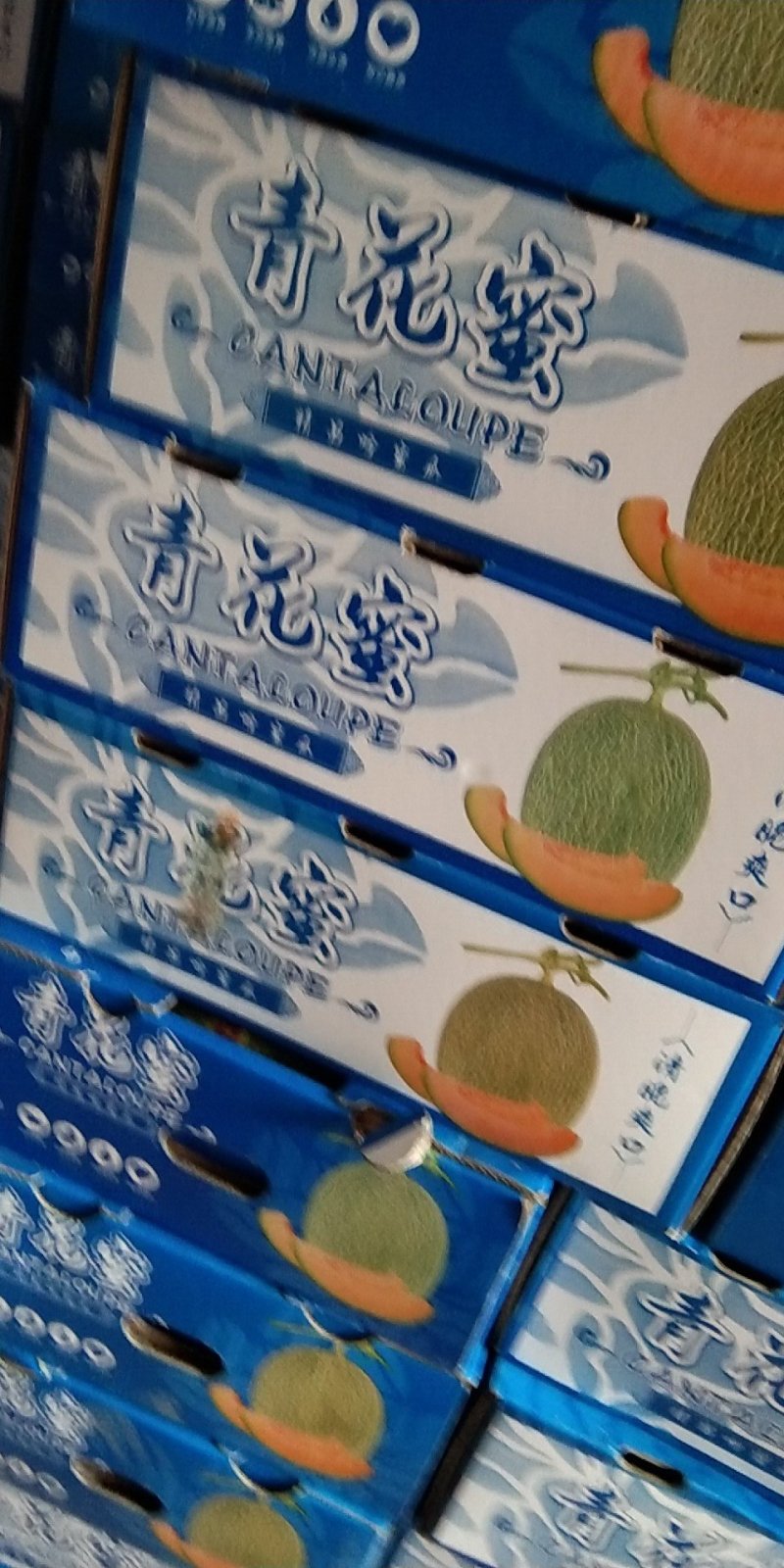哈密瓜