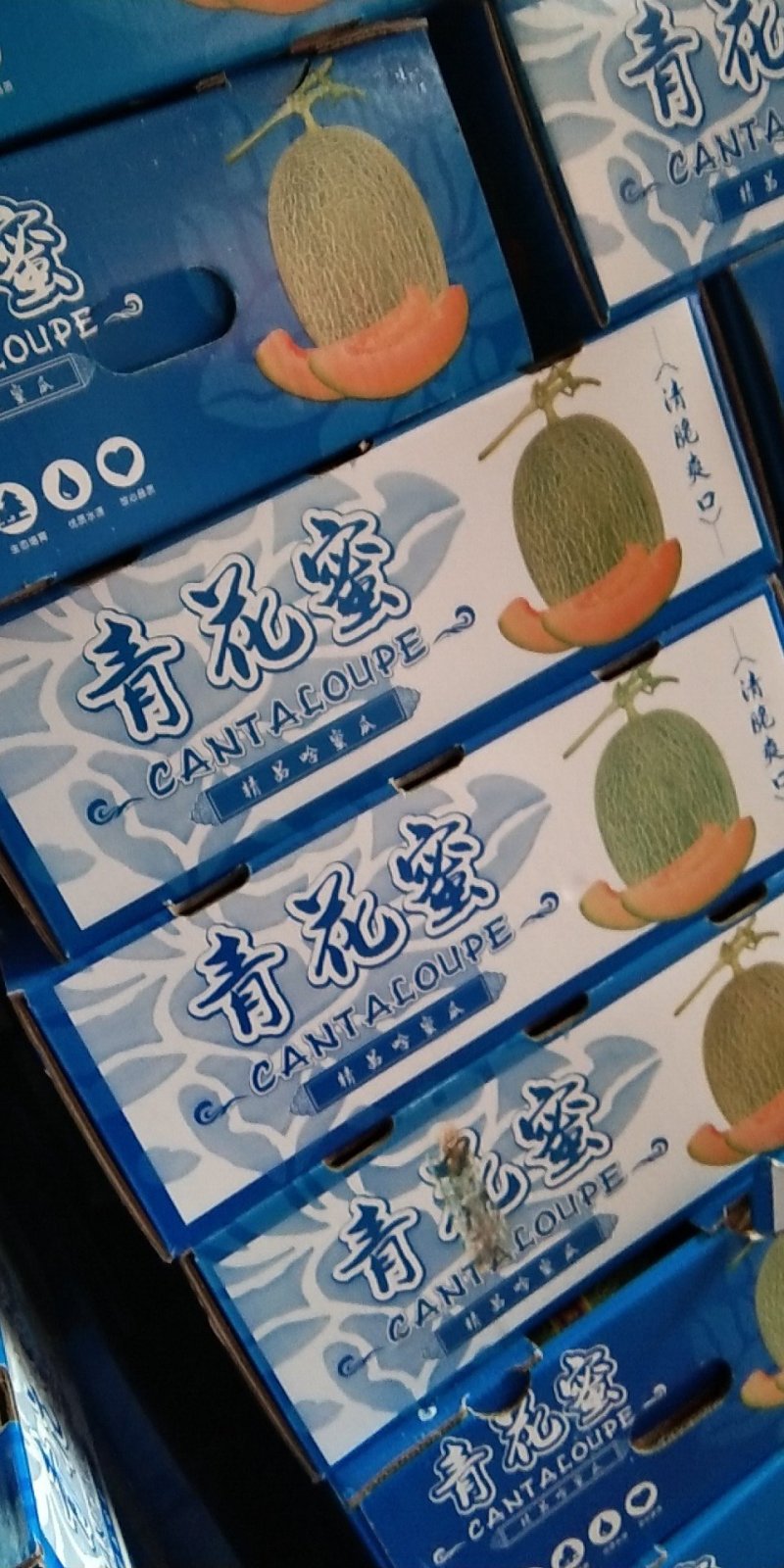 哈密瓜