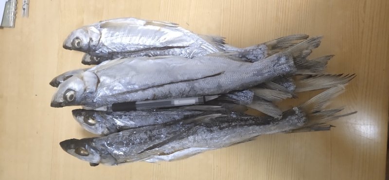 南漪湖野生小白鱼干