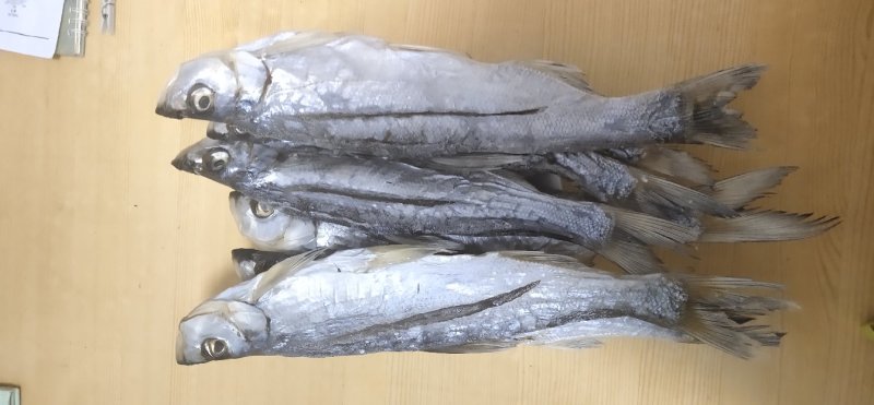 南漪湖野生小白鱼干