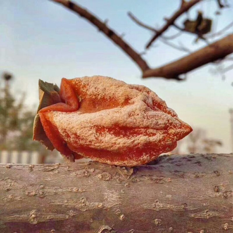 柿饼