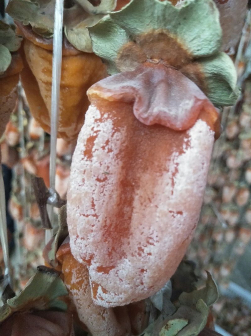 柿饼