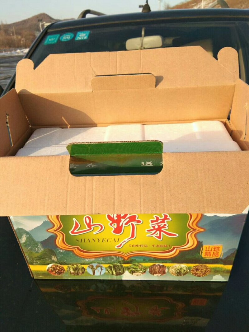 刺嫩芽