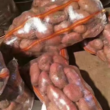 红皮土豆