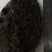 鲍鱼，鲜活鲍鱼，大连鲍鱼，盘鲍