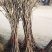 各种樱桃苗，果树苗