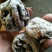 好吃又有颜的柿饼