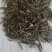 高杆混色波斯菊
