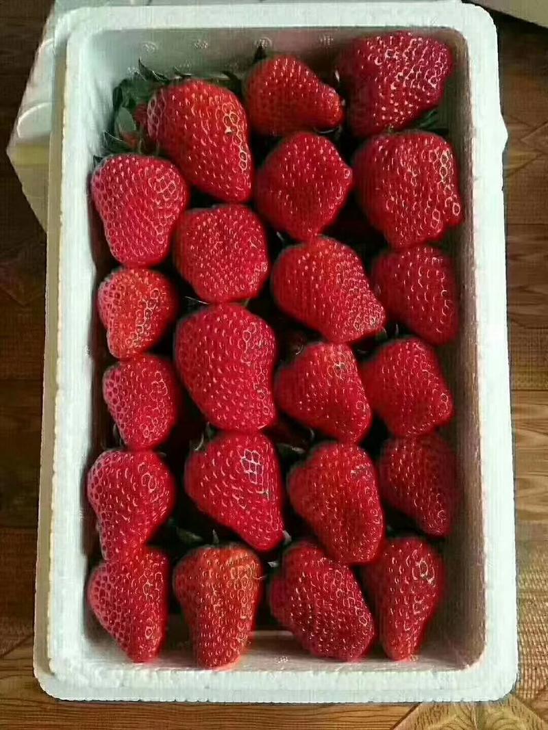 草莓甜查理