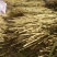 精品红糖膏产地直销物美价廉量大从优欢迎来购