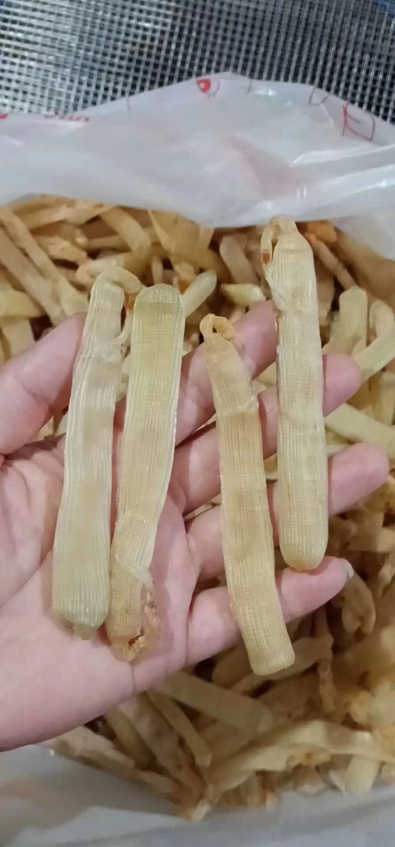 沙虫