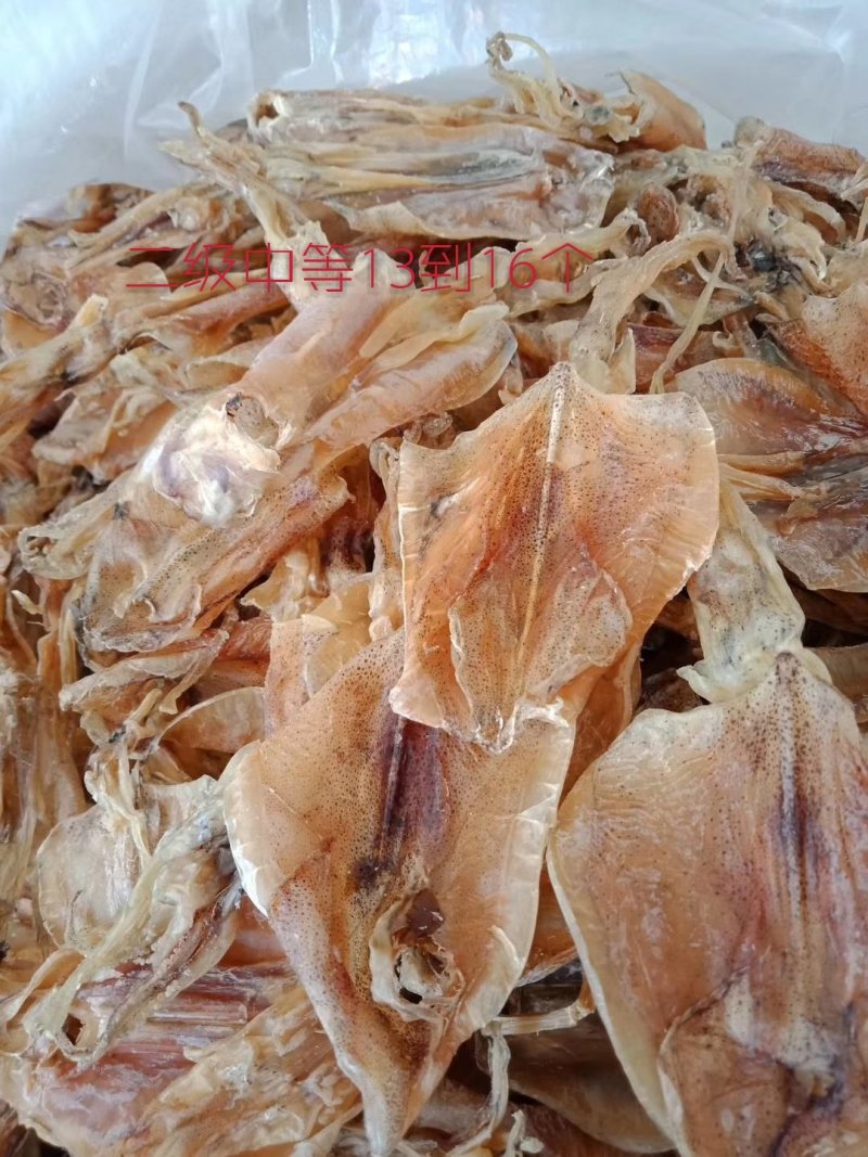 北海船晒穿竹鱿鱼