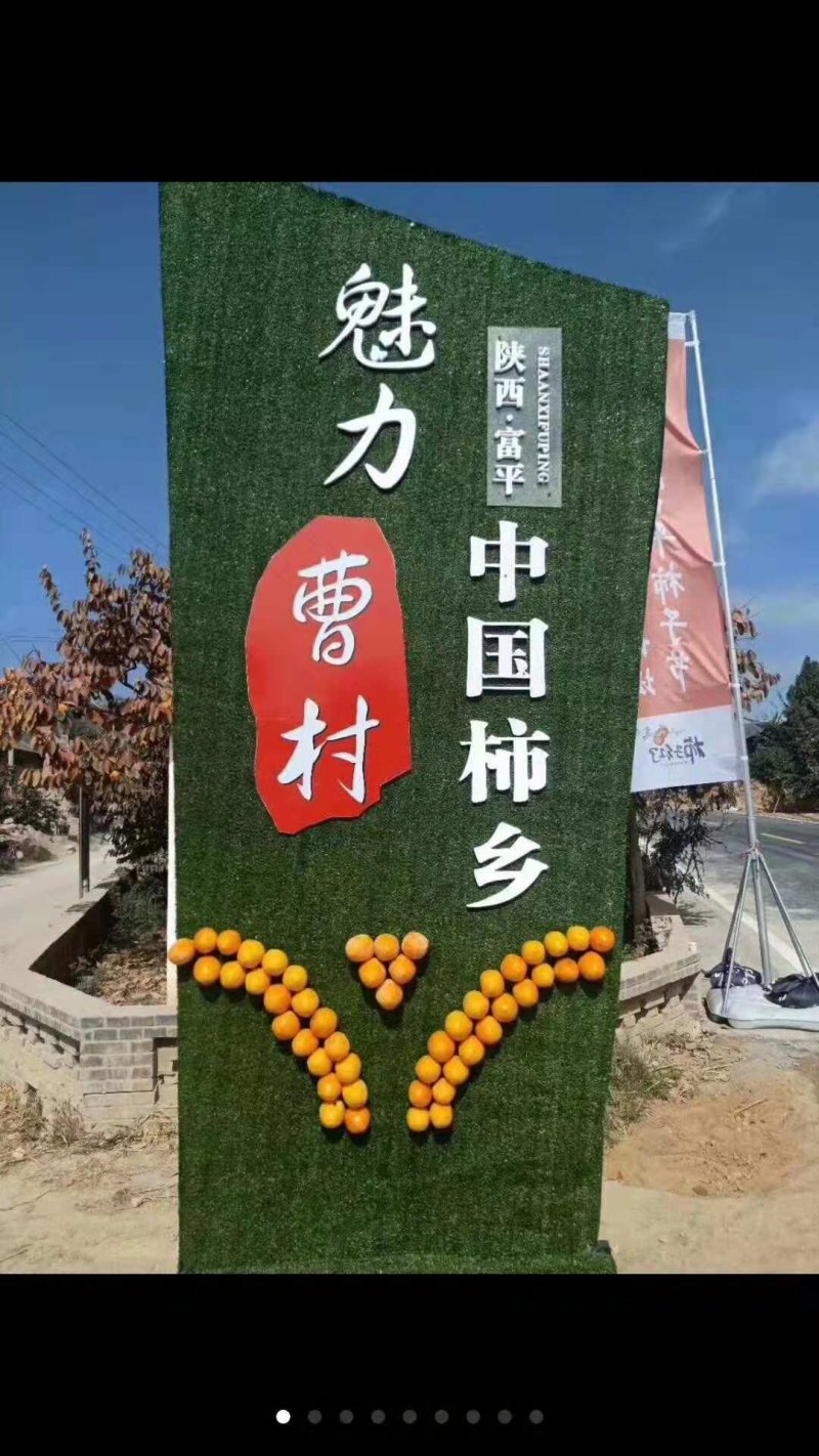 正宗富平柿饼