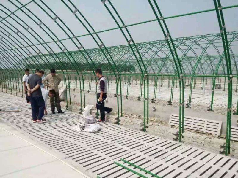 大棚骨架天津大棚管生产厂家包塑管生产厂家