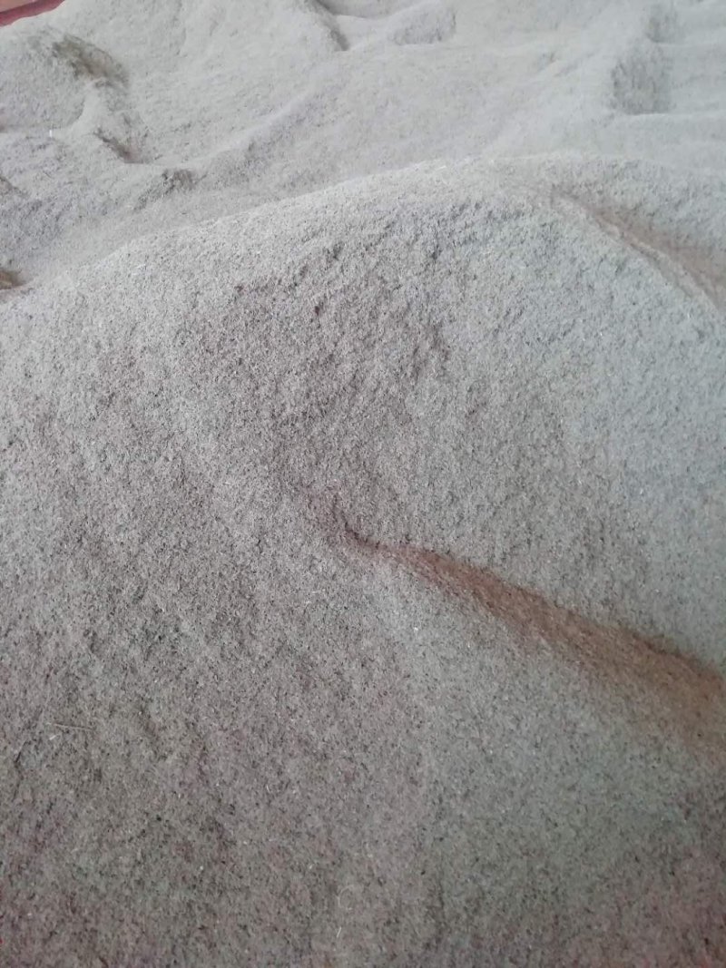 龙胆草种子