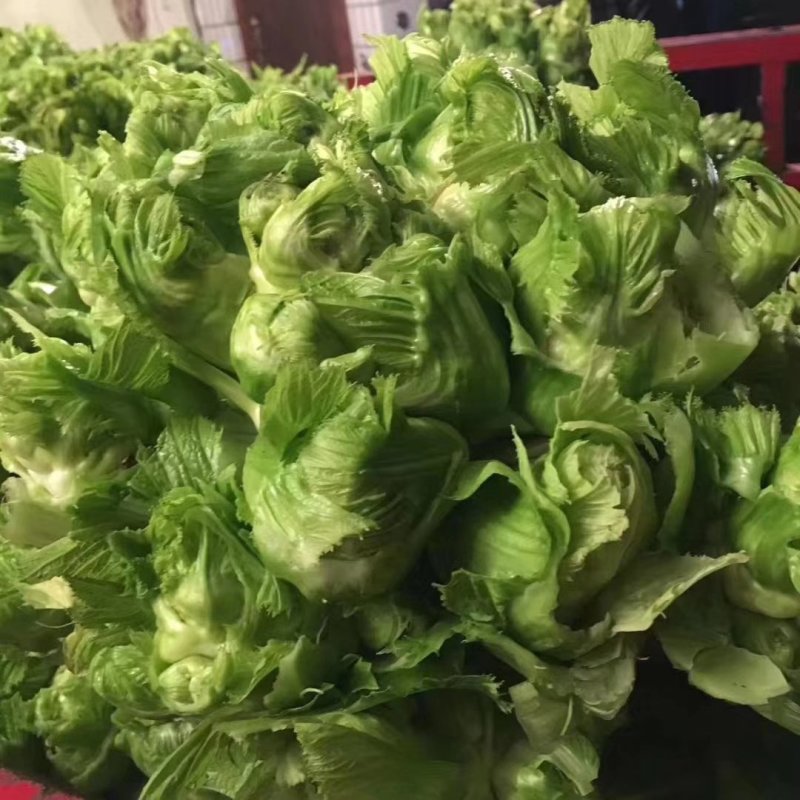 儿儿菜，棒菜