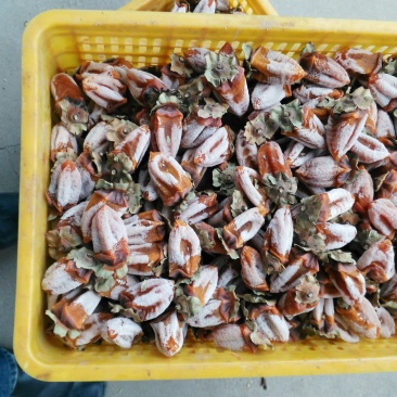 柿饼