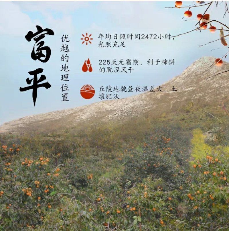 富平柿饼