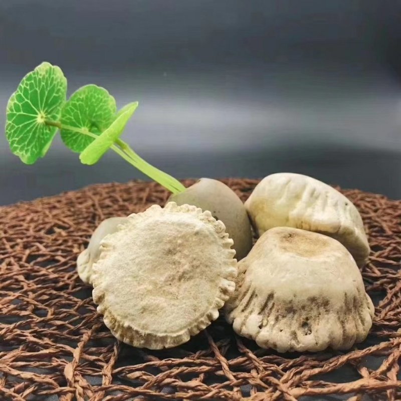梅花鹿鹿托盘
