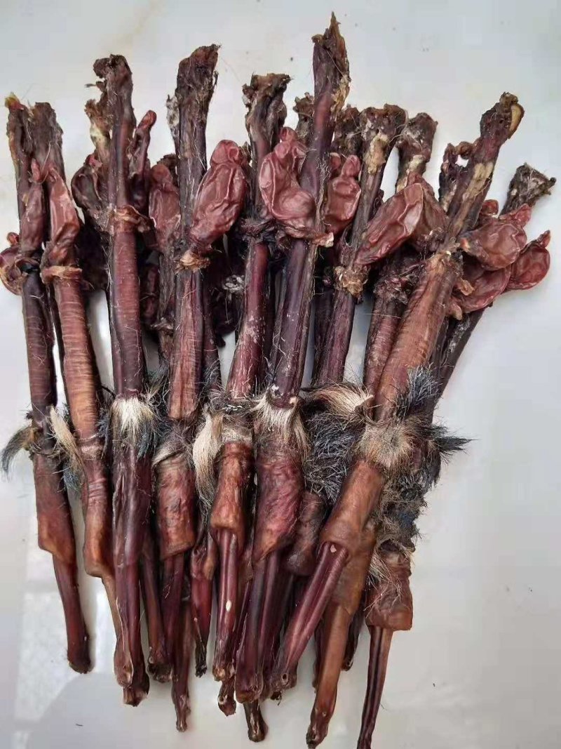 鹿鞭