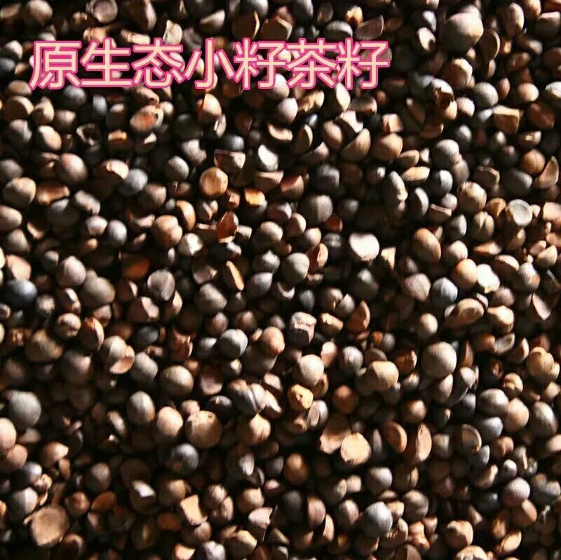 茶油