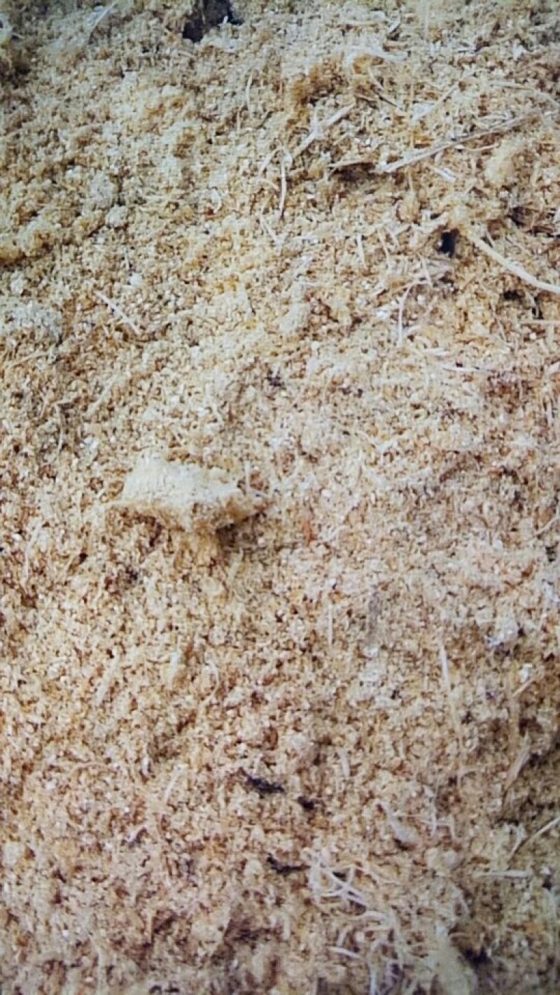 求购锯末，含水量10%
