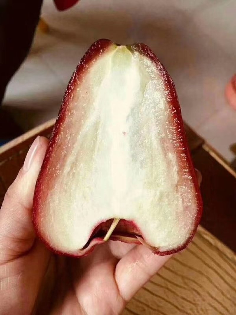 莲雾新鲜上市，大量接单，，，，，，