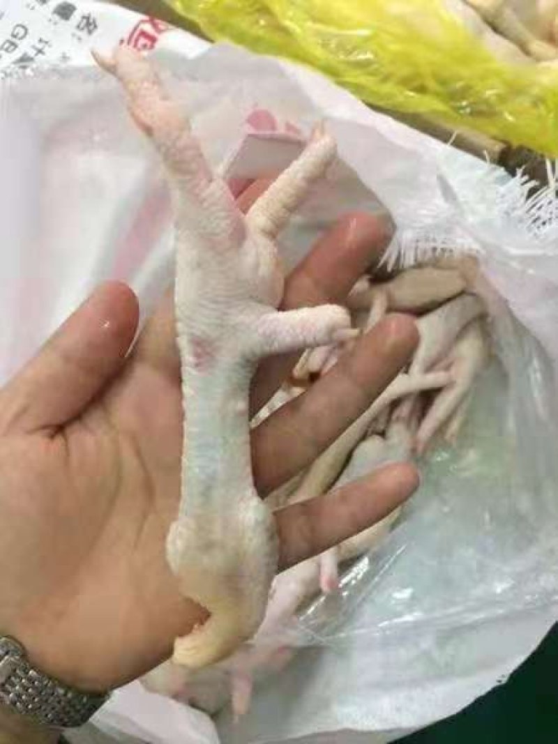鸡爪