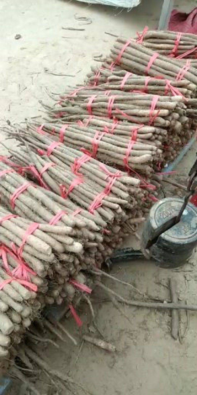 白玉小货