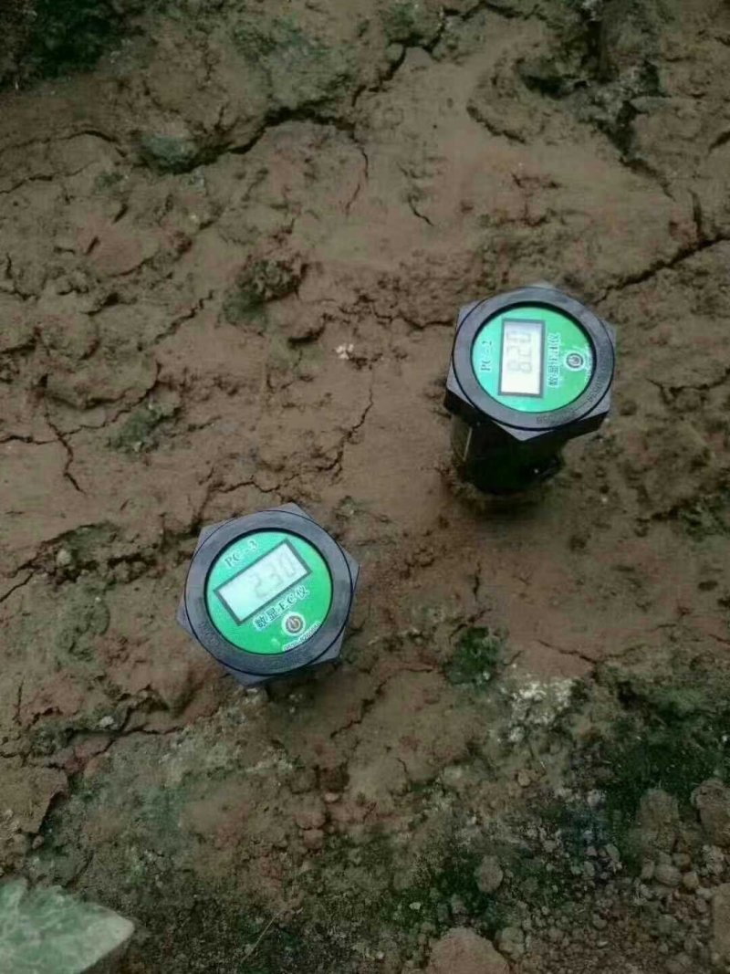 数显PH计，检测土壤酸碱度