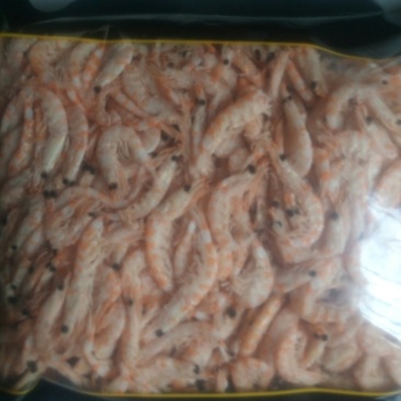 鳞虾虾皮