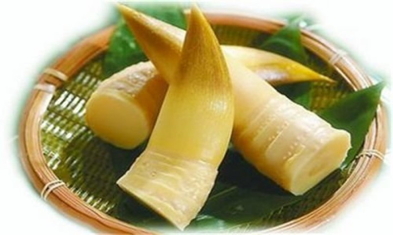 福建永安冬笋干丝，跑地摊，展会好产品