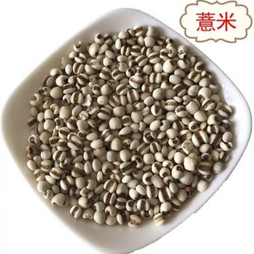 贵州薏米1公斤包邮