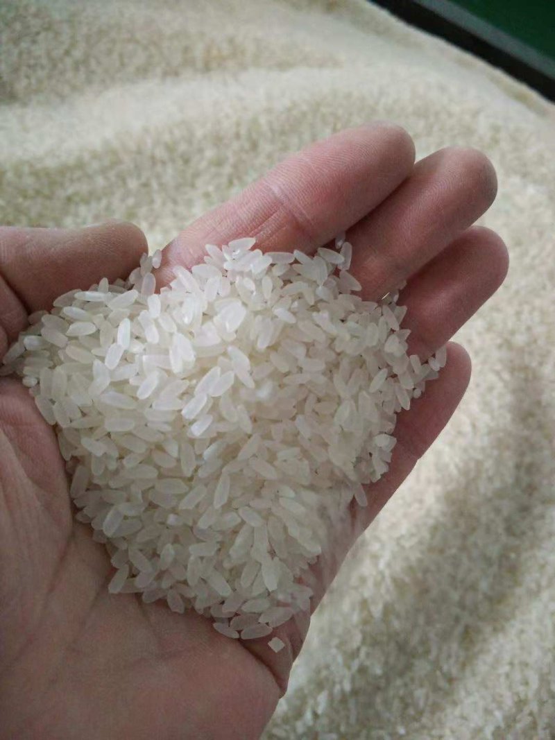 中国🇨🇳中央贡米