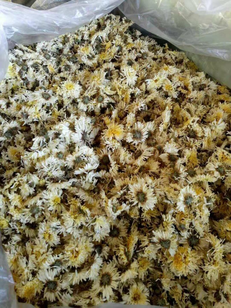 电烘干的菊花